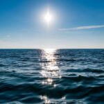 O Espelho Invisível: Como a Economia do Consumo Reprograma Nossos Hormônios