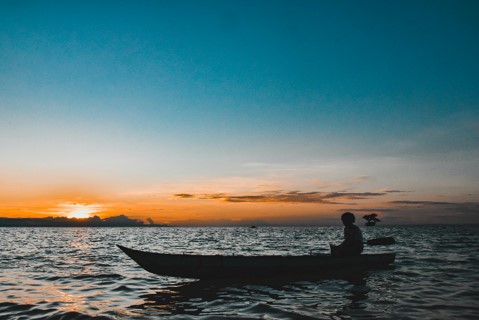 COP30: Brasil no Centro da Agenda ESG Global