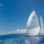 Açaí Natural: O Superalimento Brasileiro Que Ganha Cada Vez Mais Espaço na Mesa dos Brasileiros